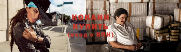стаф Горняк