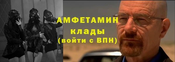 ГАЛЛЮЦИНОГЕННЫЕ ГРИБЫ Горно-Алтайск