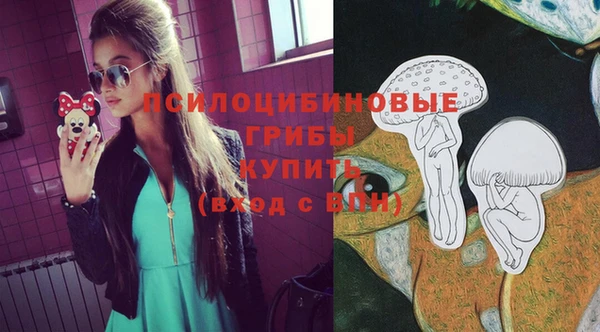 стаф Горняк