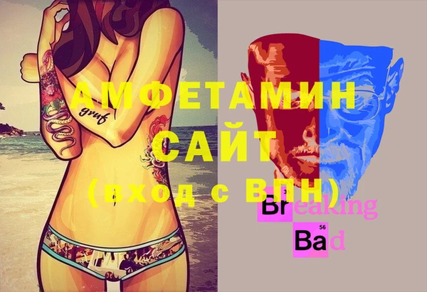 ГАЛЛЮЦИНОГЕННЫЕ ГРИБЫ Горно-Алтайск