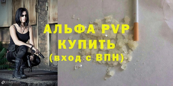 стаф Горняк