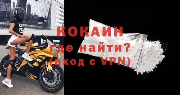 ГАЛЛЮЦИНОГЕННЫЕ ГРИБЫ Горно-Алтайск