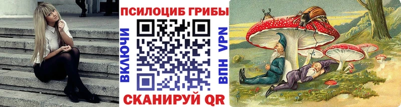 Галлюциногенные грибы Psilocybine cubensis  Купить где  Маркс 